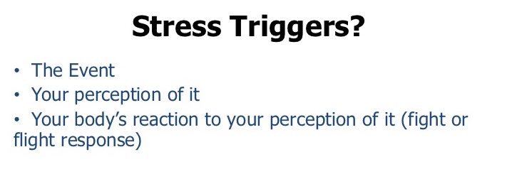 stress-triggers